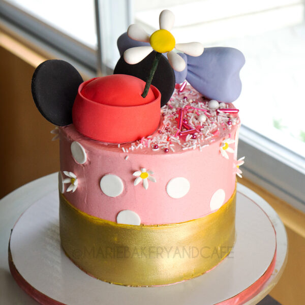 Minnie and Daisy Disney-inspired Cake