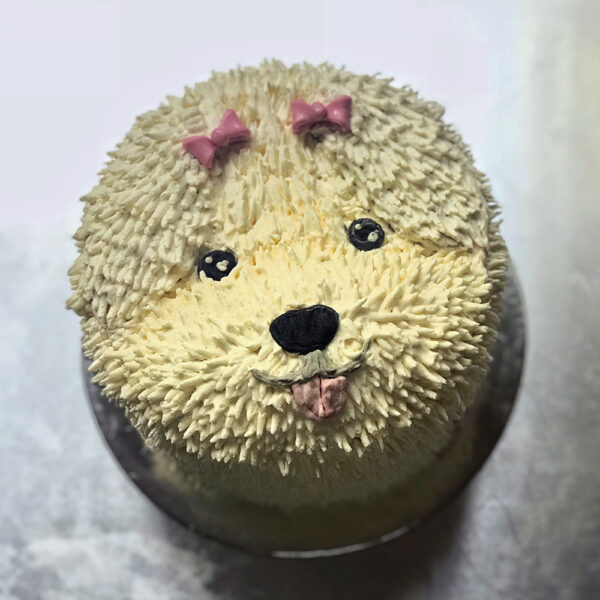 Dog Cake